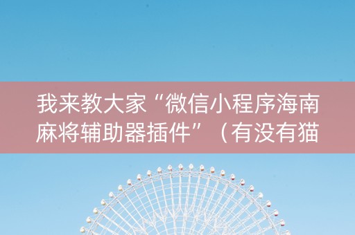 我来教大家“微信小程序海南麻将辅助器插件”（有没有猫腻)