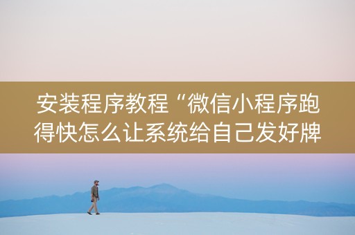 安装程序教程“微信小程序跑得快怎么让系统给自己发好牌”（做弊器软件下载)