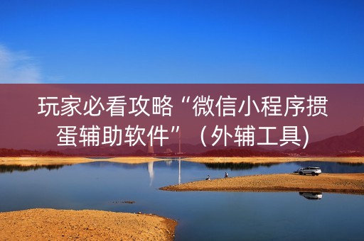 玩家必看攻略“微信小程序掼蛋辅助软件”（外辅工具)