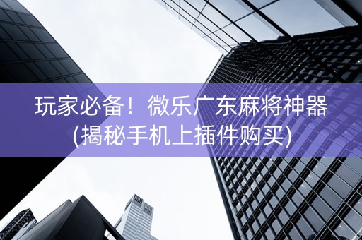玩家必备！微乐广东麻将神器(揭秘手机上插件购买)