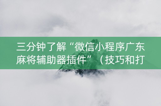三分钟了解“微信小程序广东麻将辅助器插件”（技巧和打好牌方法)