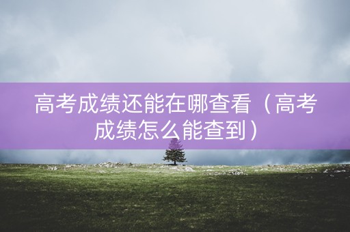 高考成绩还能在哪查看（高考成绩怎么能查到）