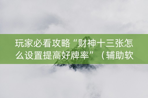 玩家必看攻略“财神十三张怎么设置提高好牌率”（辅助软件)