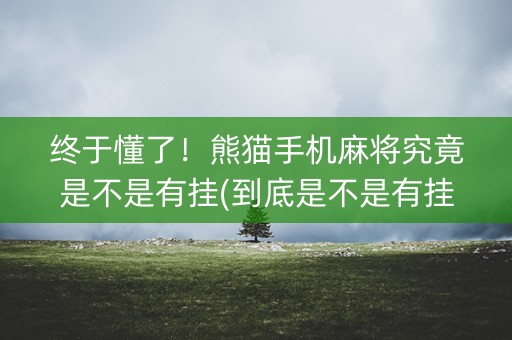 终于懂了！熊猫手机麻将究竟是不是有挂(到底是不是有挂)