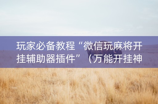 玩家必备教程“微信玩麻将开挂辅助器插件”（万能开挂神器)