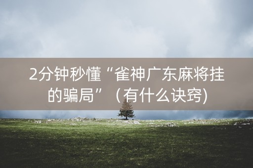 2分钟秒懂“雀神广东麻将挂的骗局”（有什么诀窍)