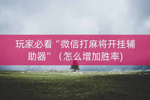 玩家必看“微信打麻将开挂辅助器”（怎么增加胜率)