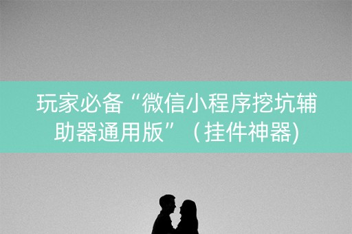 玩家必备“微信小程序挖坑辅助器通用版”（挂件神器)