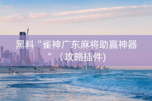 黑料“雀神广东麻将助赢神器”（攻略插件)