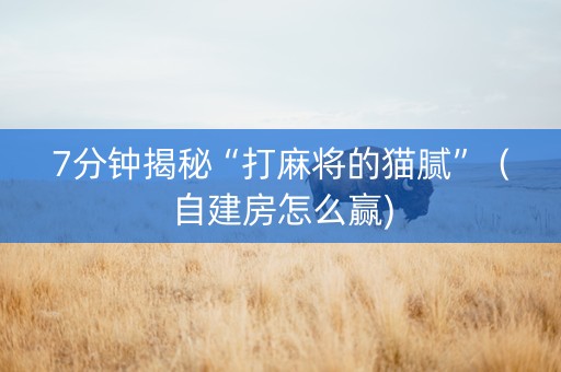 7分钟揭秘“打麻将的猫腻”（自建房怎么赢)
