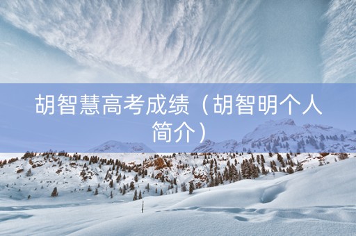胡智慧高考成绩（胡智明个人简介）
