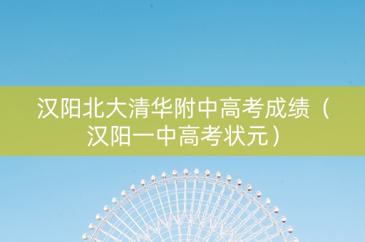 汉阳北大清华附中高考成绩（汉阳一中高考状元）