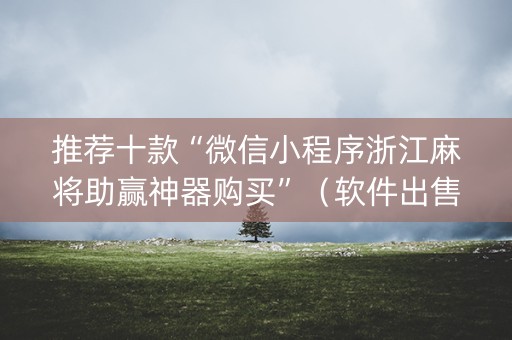 推荐十款“微信小程序浙江麻将助赢神器购买”（软件出售)