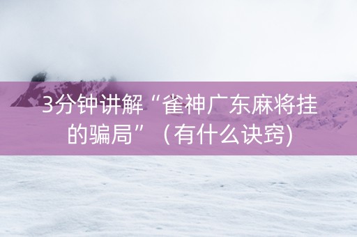 3分钟讲解“雀神广东麻将挂的骗局”（有什么诀窍)
