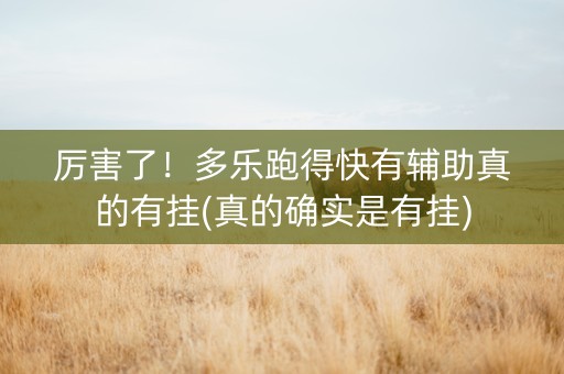 厉害了！多乐跑得快有辅助真的有挂(真的确实是有挂)