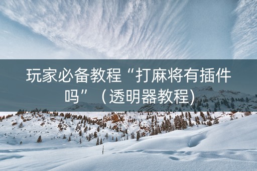 玩家必备教程“打麻将有插件吗”（透明器教程)