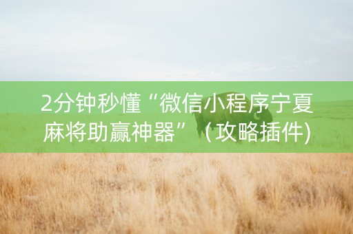 2分钟秒懂“微信小程序宁夏麻将助赢神器”（攻略插件)