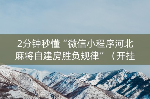 2分钟秒懂“微信小程序河北麻将自建房胜负规律”（开挂辅助插件)