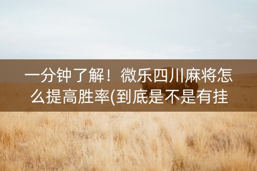 一分钟了解！微乐四川麻将怎么提高胜率(到底是不是有挂)