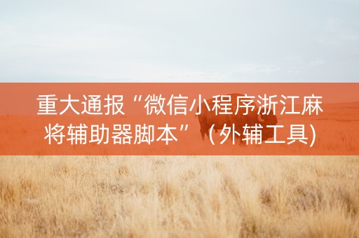重大通报“微信小程序浙江麻将辅助器脚本”（外辅工具)