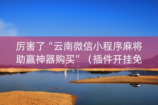 厉害了“云南微信小程序麻将助赢神器购买”（插件开挂免费AI)