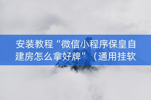 安装教程“微信小程序保皇自建房怎么拿好牌”（通用挂软件多少钱)
