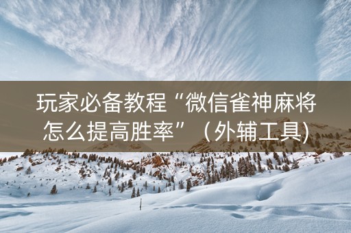 玩家必备教程“微信雀神麻将怎么提高胜率”（外辅工具)