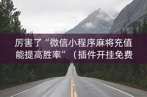 厉害了“微信小程序麻将充值能提高胜率”（插件开挂免费AI)