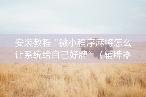 安装教程“微小程序麻将怎么让系统给自己好牌”（辅牌器插件购买)