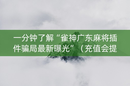 一分钟了解“雀神广东麻将插件骗局最新曝光”（充值会提高胜率么)