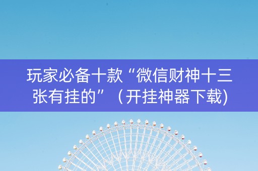 玩家必备十款“微信财神十三张有挂的”（开挂神器下载)