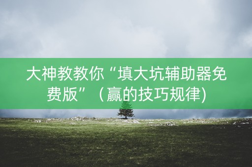 大神教教你“填大坑辅助器免费版”（赢的技巧规律)