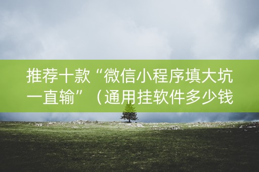 推荐十款“微信小程序填大坑一直输”（通用挂软件多少钱)