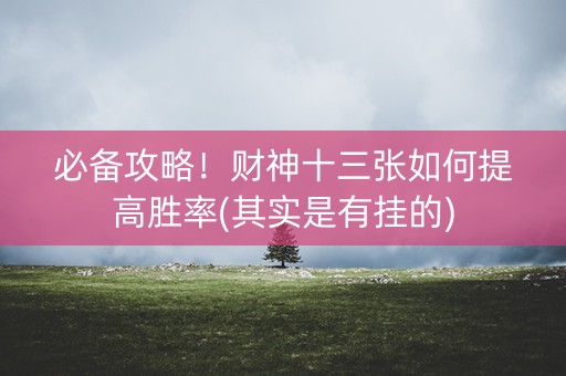 必备攻略！财神十三张如何提高胜率(其实是有挂的)
