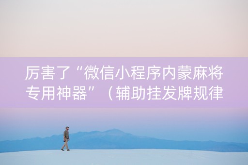 厉害了“微信小程序内蒙麻将专用神器”（辅助挂发牌规律)