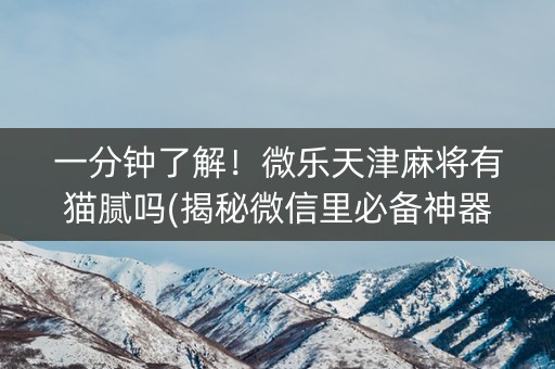 一分钟了解！微乐天津麻将有猫腻吗(揭秘微信里必备神器)