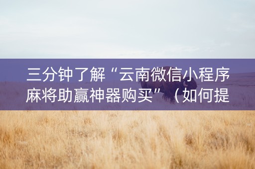 三分钟了解“云南微信小程序麻将助赢神器购买”（如何提高胜率)