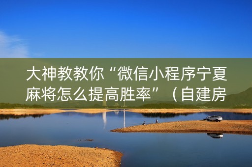 大神教教你“微信小程序宁夏麻将怎么提高胜率”（自建房胜负规律)