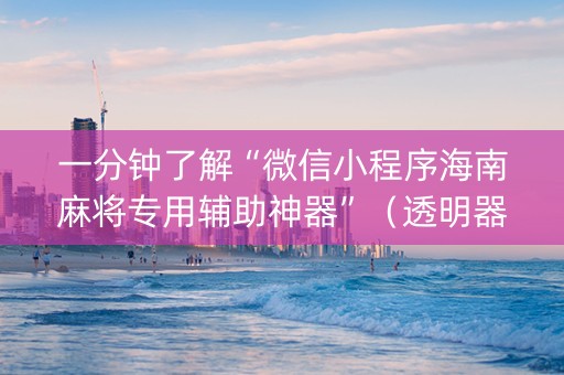 一分钟了解“微信小程序海南麻将专用辅助神器”（透明器教程)