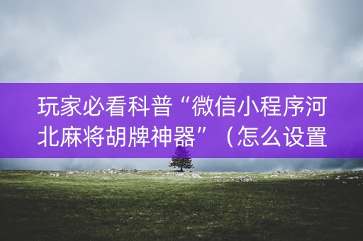 玩家必看科普“微信小程序河北麻将胡牌神器”（怎么设置能有好牌)