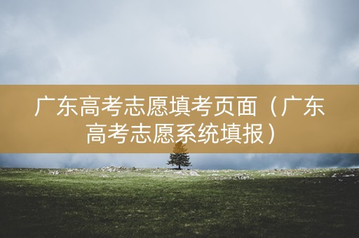 广东高考志愿填考页面（广东高考志愿系统填报）