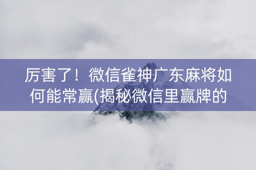 厉害了！微信雀神广东麻将如何能常赢(揭秘微信里赢牌的技巧)