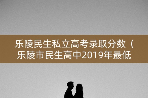 乐陵民生私立高考录取分数（乐陵市民生高中2019年最低分录取）