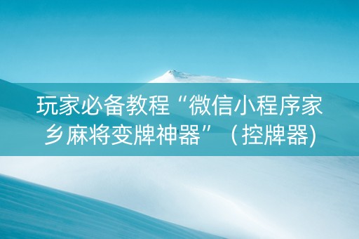 玩家必备教程“微信小程序家乡麻将变牌神器”（控牌器)