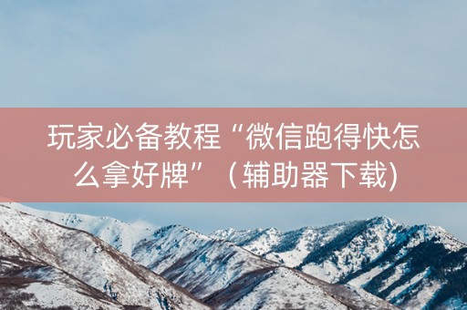 玩家必备教程“微信跑得快怎么拿好牌”（辅助器下载)