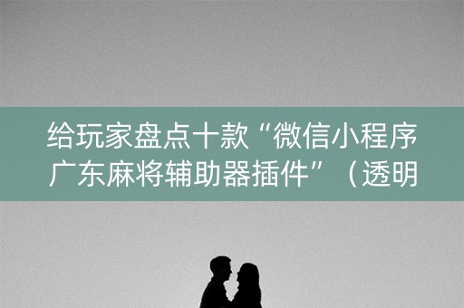 给玩家盘点十款“微信小程序广东麻将辅助器插件”（透明挂辅助器)