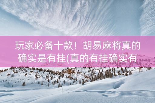 玩家必备十款！胡易麻将真的确实是有挂(真的有挂确实有挂)