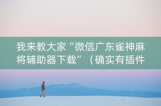 我来教大家“微信广东雀神麻将辅助器下载”（确实有插件吗)
