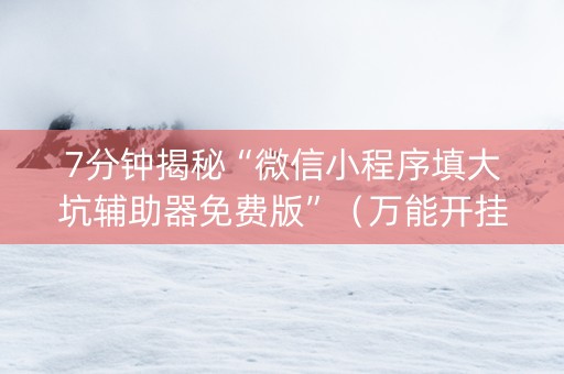 7分钟揭秘“微信小程序填大坑辅助器免费版”（万能开挂器)