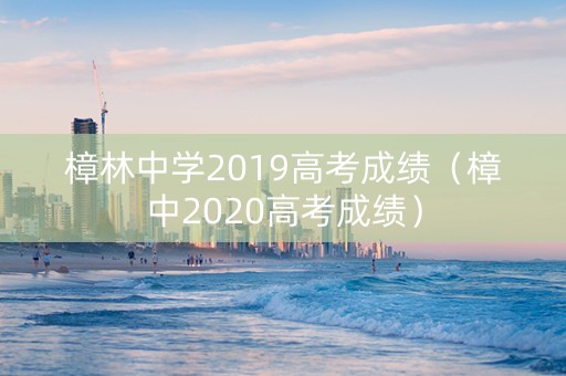 樟林中学2019高考成绩（樟中2020高考成绩）